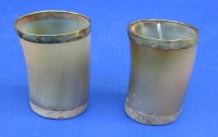 Wholesale Tan color Buffalo Viking Drinking Horn Shot Glass/cup with Brass Trim and Wood base - 3 inches tall - 2 pcs @ $7.75 each; 