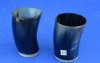 Wholesale Tan and Black color Buffalo Viking Drinking Horn Shot Glass/cup with Wood base - 3 inches tall - Packed: 2 pcs @ $7.75 each; Packed: 12 pcs @ $6.95 each