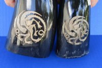 Polished Cattle/Cow Horns with Engraved Dragon 11  to 13 inch (2 pc, 8 pc)