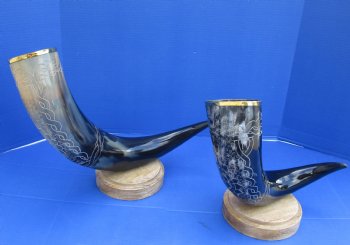 19 up to 32 inch Carved Cow horn w/ wood base (1 pc)