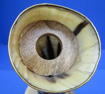 19 up to 32 inch Carved Cow horn w/ wood base (1 pc)