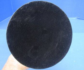 19 up to 32 inch Carved Cow horn w/ wood base (1 pc)