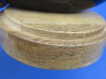 19 up to 32 inch Carved Cow horn w/ wood base (1 pc)