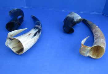 Polished Cow Horn Carved Design w/handle and horn stand (1 pc)