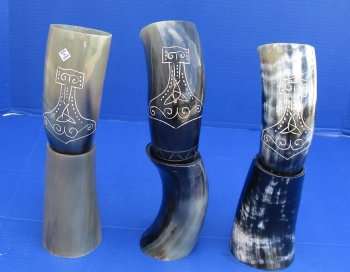 Decorative Carved Cattle/Cow Drinking horns and Horn stand 11 to 13 inch (2 pc, 8 pc)