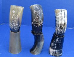 Wholesale Decorative Carved Cattle and Buffalo Drinking horns and Horn stand 11 to 13 inch - 2 pcs @ $16.50 each; 8 pcs @ $14.85 each