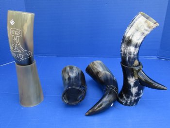 Wholesale Decorative Carved Cattle/Cow Drinking horns and Horn stand 11 to 13 inch - 2 pcs @ $16.50 each; 8 pcs @ $14.85 each