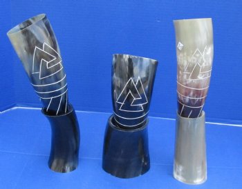 Decorative Cattle/Cow horn with horn stand Carved Design Drinking horns 13 to 14 inch (2 pc, 8 pc)