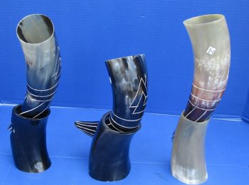 Wholesale Decorative Cattle/Cow horn with horn stand Carved Design Drinking horns 13 to 14 inch - 2 pcs @ $16.50 each; 8 pcs @ $14.85 each