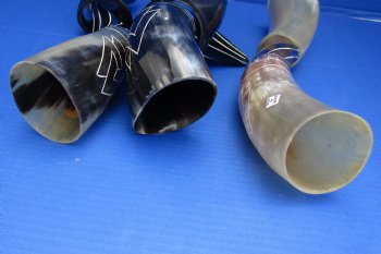 Decorative Cattle/Cow horn with horn stand Carved Design Drinking horns 13 to 14 inch (2 pc, 8 pc)
