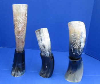 Cow drinking horn with carved bird design 13 to 15 inch (2 pc, 8 pc)
