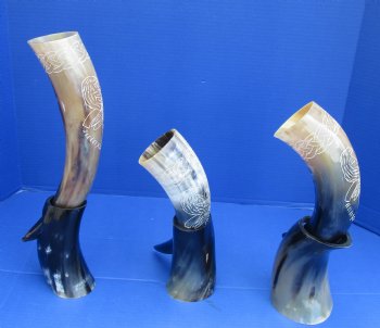 Cow drinking horn with carved bird design 13 to 15 inch (2 pc, 8 pc)