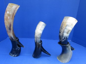 Cow drinking horn with carved bird design 13 to 15 inch (2 pc, 8 pc)