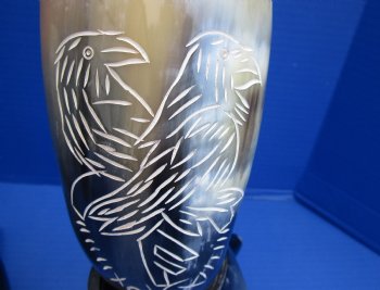 Cow drinking horn with carved bird design 13 to 15 inch (2 pc, 8 pc)