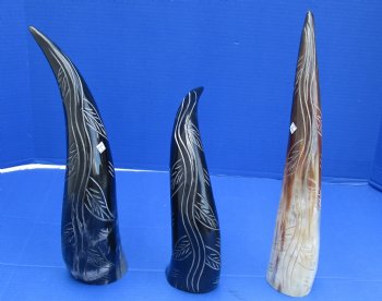 Painted Cow Horn with a decorative carved leaf vine design - 14 to 16 inch (2 pc, 8 pc)