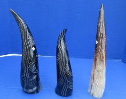 Wholesale Polished Cattle and Buffalo Horn with a decorative carved leaf vine design - 14 to 16 inches  - 2 pcs @ $14.25 each; 8 pcs @ $12.80 each