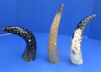 Decorative Polished Cow drinking horns with carved lines and dots design (2 pc, 8 pc)