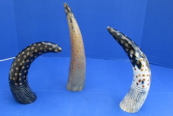 Wholesale Decorative Polished Cattle/Cow drinking horns with carved lines and dots design. 2 pcs @ $14.25 each; Packed: 8 pcs @ $12.80 each