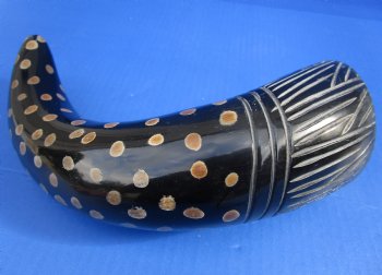 Decorative Polished Cow drinking horns with carved lines and dots design (2 pc, 8 pc)