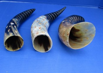 Decorative Polished Cow drinking horns with spiral carved lines and dots design (2 pc, 8 pc)