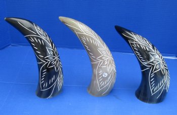 Wholesale Decorative Polished Cow drinking horns with carved flower burst design (2 pc, 8 pc)