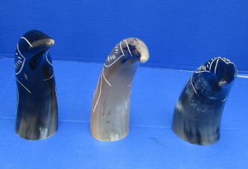 Wholesale Decorative Polished Cow drinking horns with carved flower burst design (2 pc, 8 pc)