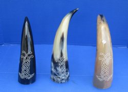 Wholesale Decorative Carved design Polished Buffalo drinking horns - 2 pcs @ $14.25 each; 8 pcs @ $12.80 each