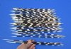 50 Porcupine quills 11 to 13 inches - You are buying the quills shown for $40