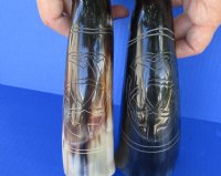 Polished Cow Horns with Modern Art Carved Design - 11 inch to 14 inch (2 pc, 8 pc)