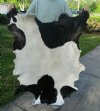 Real Goat Hide for sale (Capra aegagrus hircus) for sale 42 x 31 inches - review all photos - you are buying the goat hide pictured for $35 (hole)