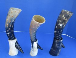 Wholesale Drinking horns with a Carved Spiral line & dot Design and horn stand 14 to 16 inch - 2 pcs @ $16.50 each; 8 pcs @ $14.85 each 