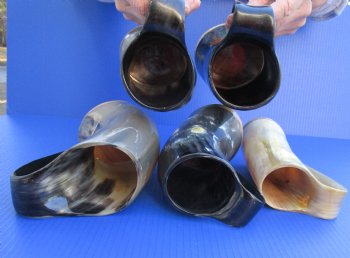 Wholesale 500 ml Polished Cow/Cattle horn mug with wood base  - 2 pcs @ $14: 12 pcs @ $12.50 each