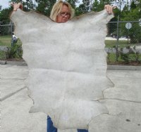 Pattern color Goat Skins, Goat Hides - (1 pc, 4 pc)