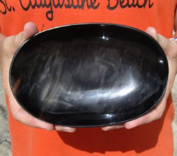 Oval Shaped Polished Buffalo Horn Bowl, Cow Horn Bowl 7-1/4 inches.  Available now for $17.00
