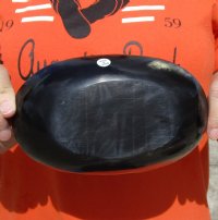 Oval Shaped Polished Buffalo Horn Bowl, Cow Horn Bowl 7-1/2 inches. For Sale for $17.00
