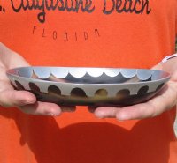 Oval Shaped Polished Buffalo Horn Bowl, Ox Horn Bowl with aluminum scallop design decorative edge 7 inches - Available now for $20.00
