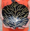 Decorative Hand Carved and Hand Painted Buffalo Horn Leaf Shaped bowl/tray for sale 7-1/2 inches - You are buying the Buffalo Horn Bowl/tray pictured for $21.00
