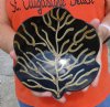 Decorative Hand Carved and Hand Painted Buffalo Horn Leaf Shaped bowl/tray for sale 7-3/4 inches - You are buying the Buffalo Horn Bowl/tray pictured for $21.00