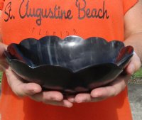 Decorative Round Polished Buffalo Horn Bowl with Scallop cut edge design for sale 8 inches - You are buying the Buffalo Horn Bowl pictured for $22.00