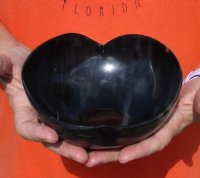 Decorative Heart Shaped Polished Buffalo Horn, Cow Horn Bowl 6 inches. Available for $18.00