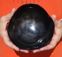 Polished Buffalo Horn, Ox Horn Round Bowl with High/Low Outer Edge Cut Design 5-3/4 inches. Buy now for $16.00