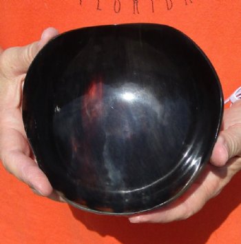 Polished Buffalo Horn, Cow Horn Round Bowl with High/Low Outer Edge Cut Design 5-3/4 inches. For Sale for $16.00