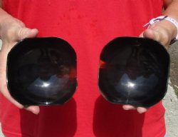 2 pc lot of Decorative Polished Ox Horn, Cow Horn Trays/bowls 4-1/2 inches. For Sale for $20.00