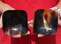2 pc lot of Decorative Polished Ox Horn, Cow Horn Trays/bowls 4 inches. Buy now for $20.00