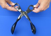 Polished Buffalo Horn Tong (Spoon and Spork Grabber) for sale 9-1/2 inches - You are buying the Buffalo Horn Spoon tongs pictured for $20.00