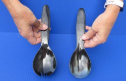 2 pc lot of Polished Buffalo Horn, Cow Horn Soup Spoon and Spork set for sale 9-1/4 inches available now for $20.00