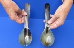 2 pc lot of Polished Buffalo Horn, Cow Horn Spoon and Slotted Spoon Set for sale 9-1/4 inches purchase now for $20.00