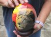 Decoupage Ostrich Egg with wood bangle stand - South African sunset with big 5 animals silhouetted and a  Lion face - 6 inches tall. You are buying the Decoupage ostrich egg in the photo for $45