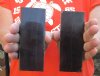 One pair of Buffalo Horn Scales from Water Buffalo Horns 5"x2"x3/4" - You are buying the scales pictured for $25 