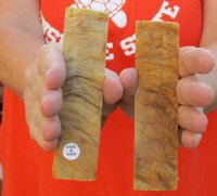 One pair of 5" x 1-1/4" x 1/8" to 3/8" sheep horn scales, knife handle material - you are buying the pair of horn scales pictured for $22.00 pair 